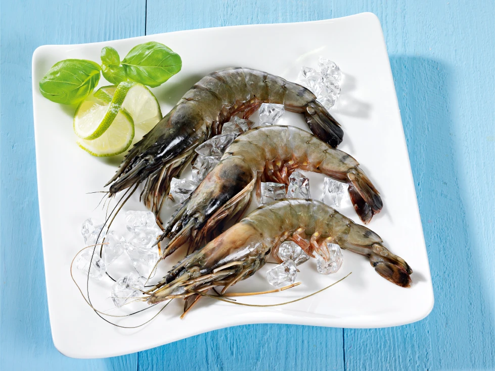 mermaid black tiger cocktailshrimps