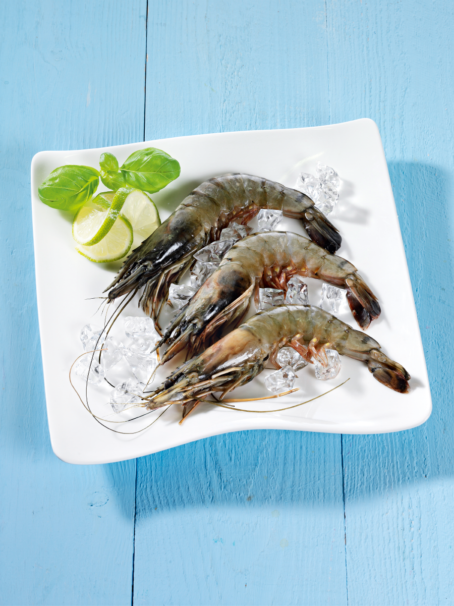Fisch & Meeresfrüchte
